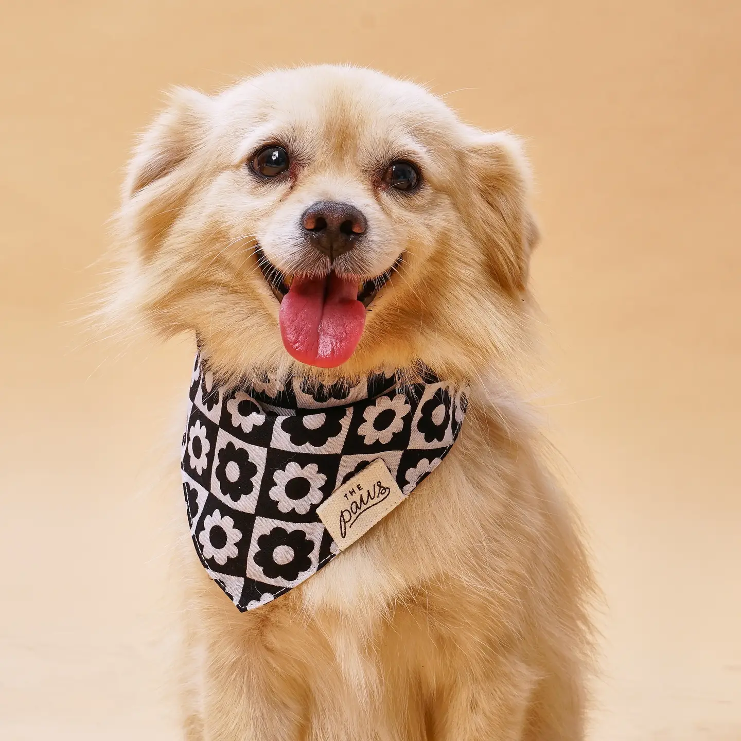 BandanaBlack_WhiteThePaws2.png