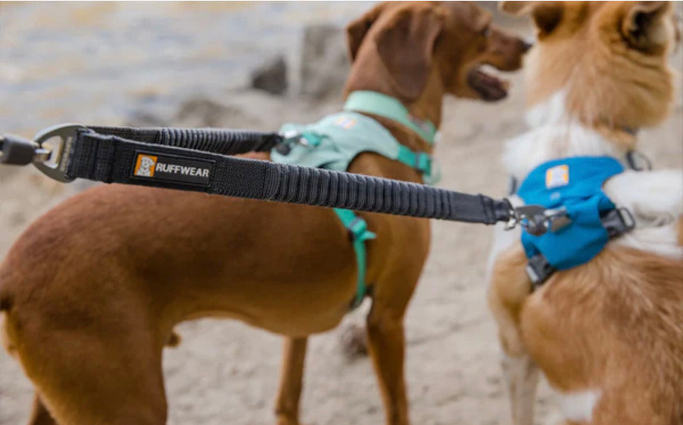 Coupleur Double Track™ - Noir