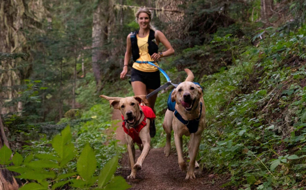 Coupleur Double Track™ - Noir