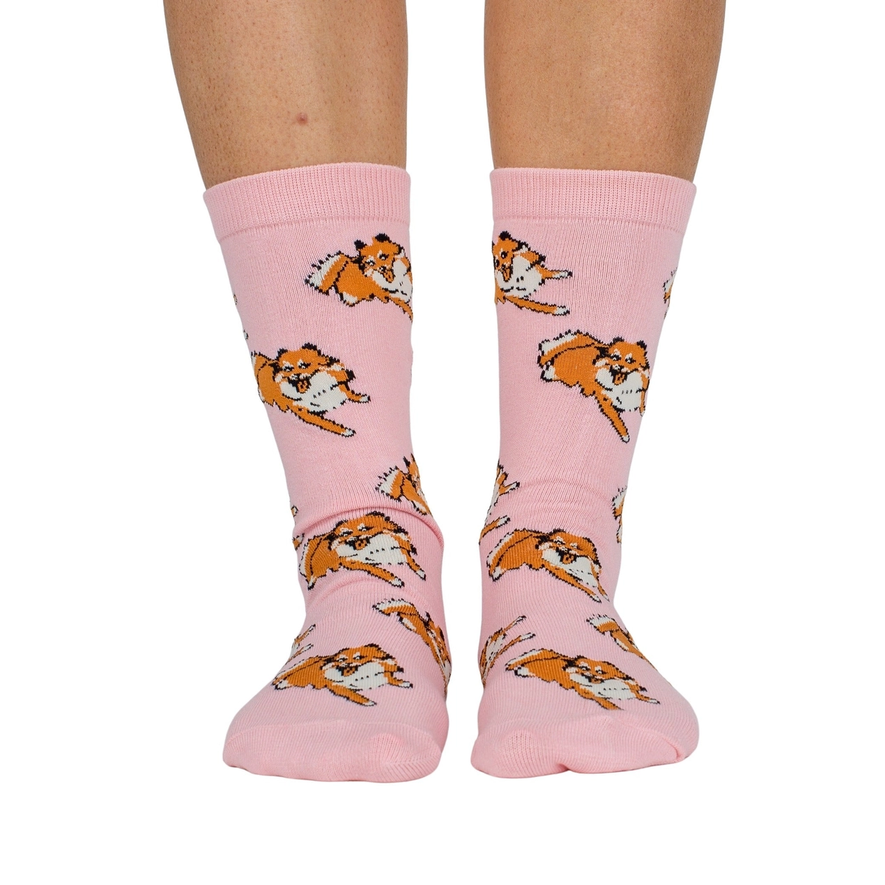 Chaussettes Dog Race Loulou de Poméranie Muzon