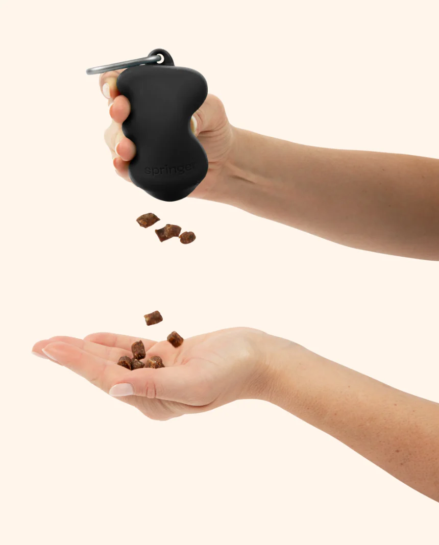 Distributeurdefriandisesensilicone6.png