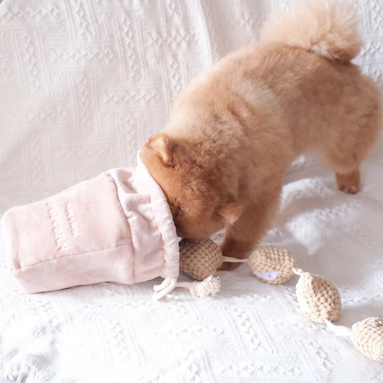 JouetdefouillepopcornPups_Bubs6.png