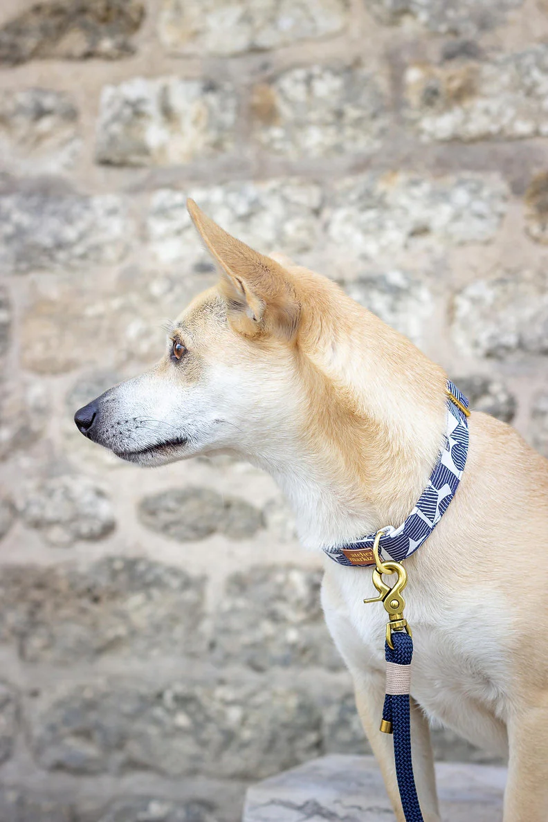 Laisse en corde - Navy-Muzon