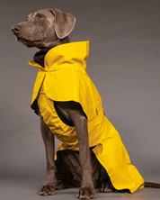 Imperméable réfléchissant pour chien - Jaune