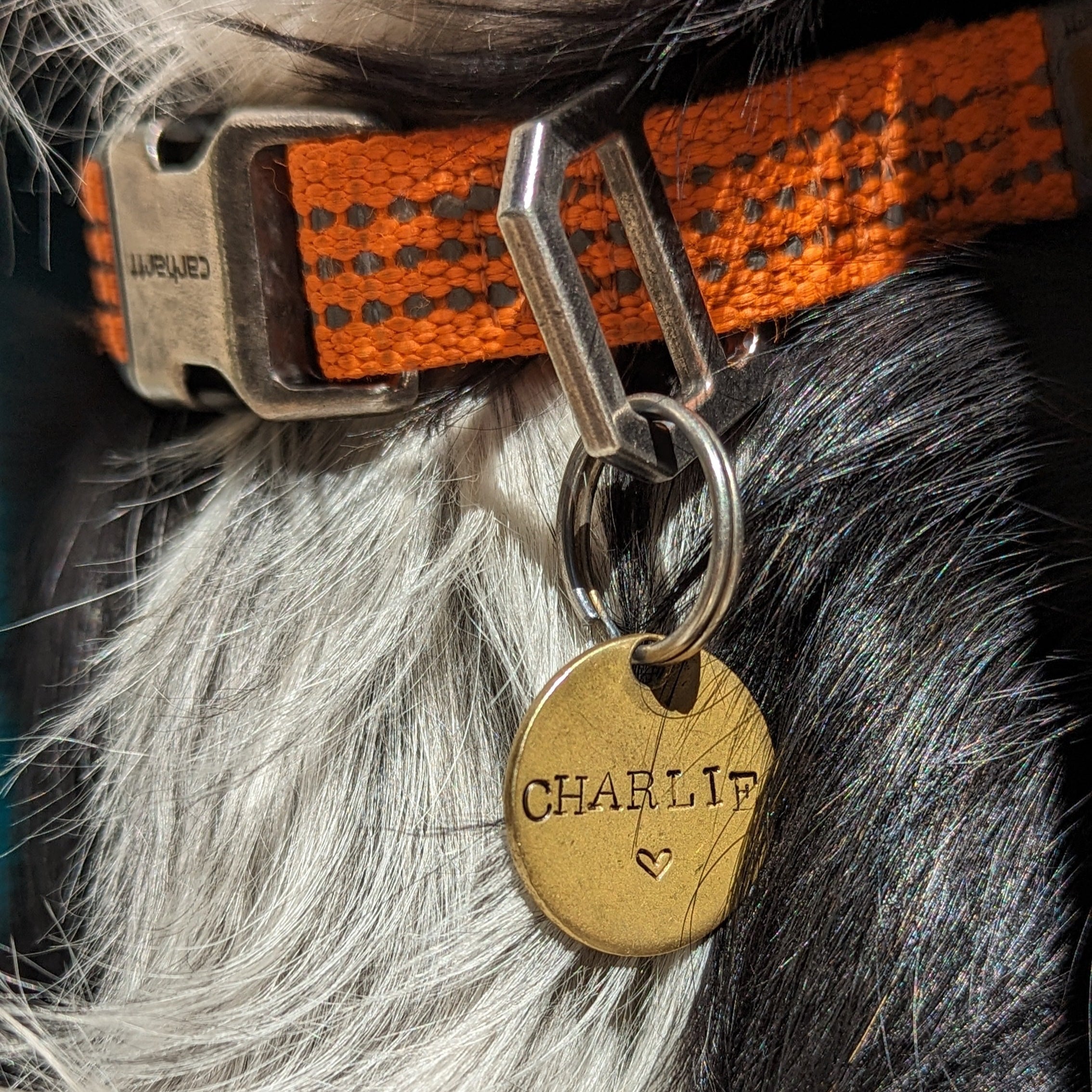 Médailles personnalisables pour chien-Médailles-Muzon