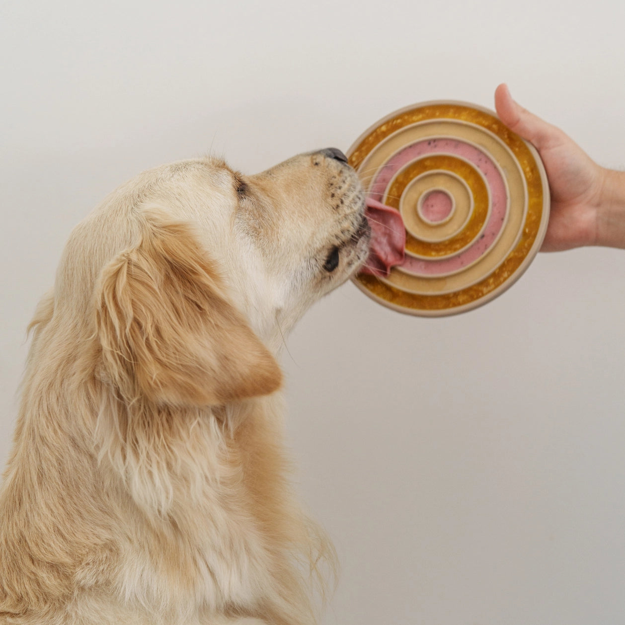 Tapis de léchage bento