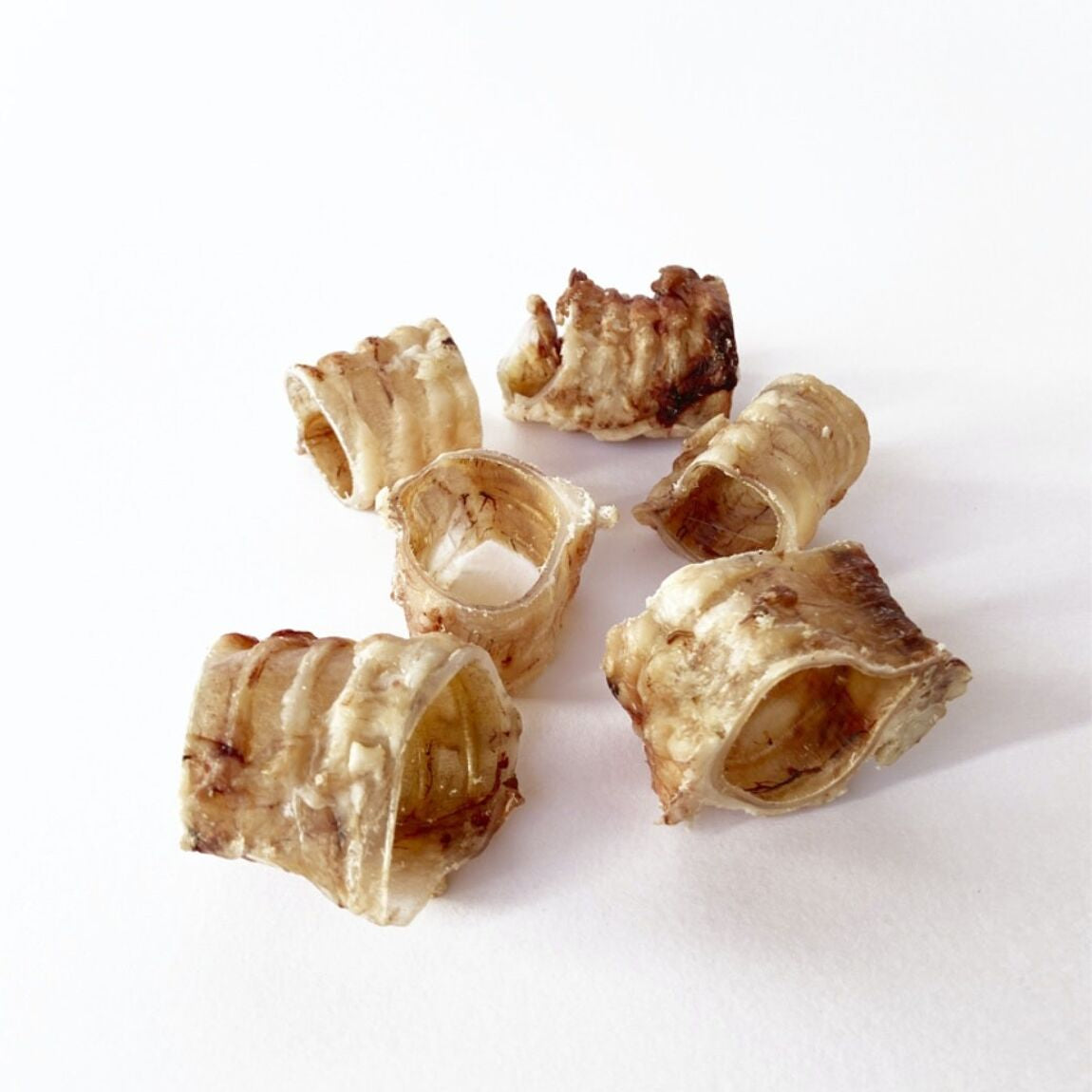 Trachée de boeuf tranchée - Mastication naturelle-Mastications naturelles-Muzon