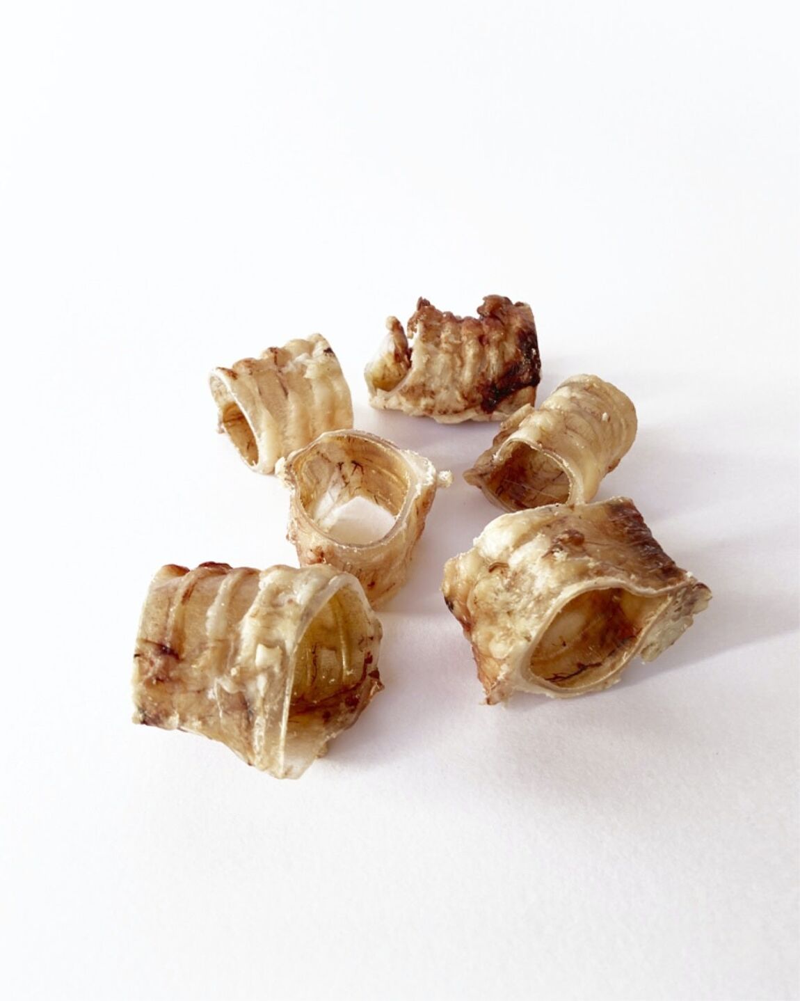 Trachée de boeuf tranchée - Mastication naturelle-Mastications naturelles-Muzon