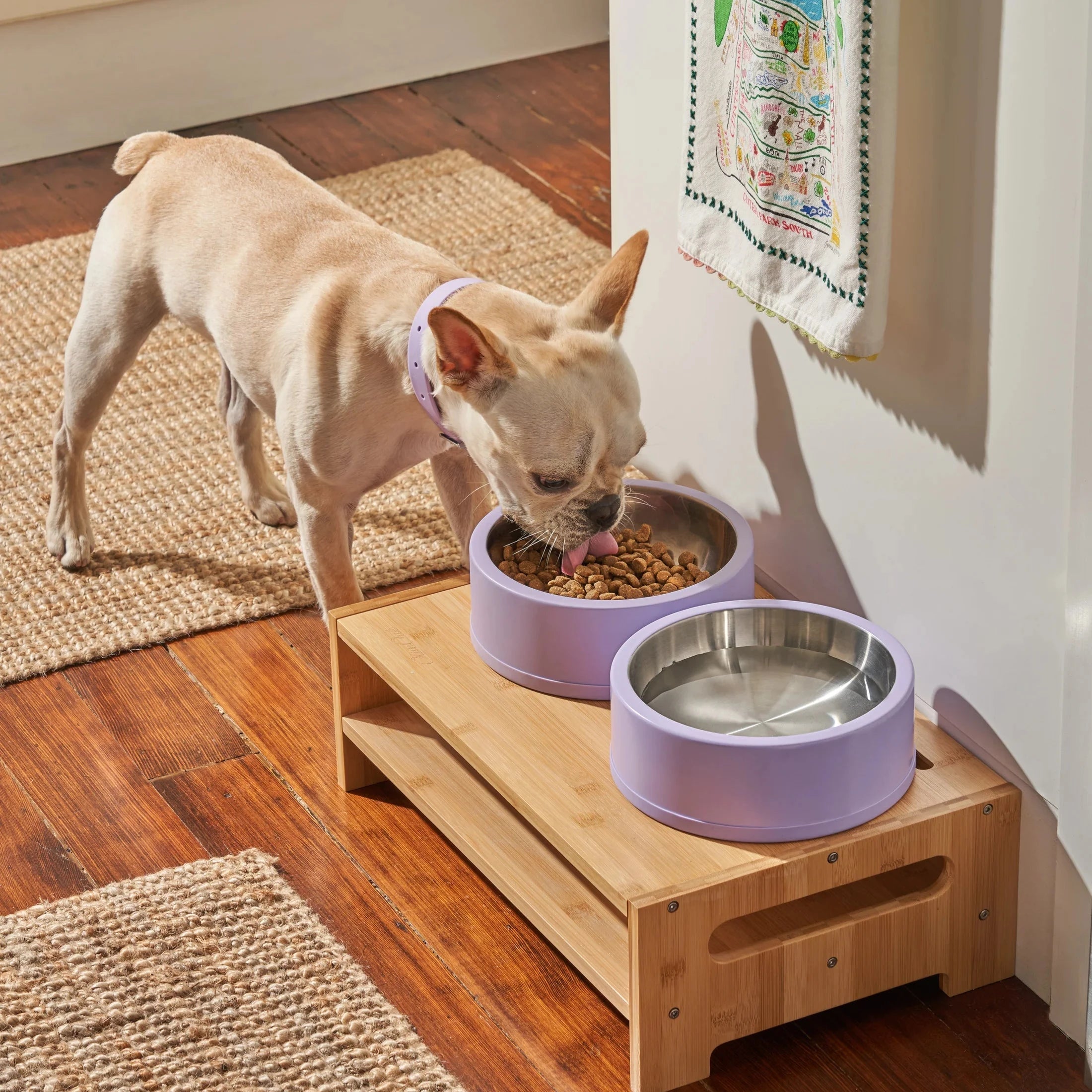 WO_VM_Location_HayesValleySF_Bowls_Lilac_Editorial_03_4x5_Web.webp
