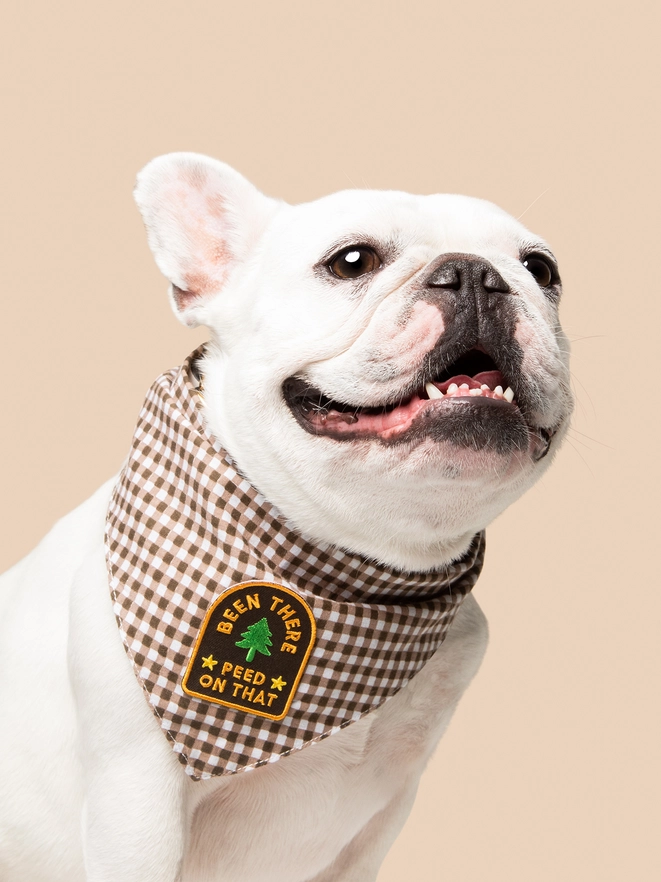 Badge thermocollant pour chien "Been there"-Patch et badges-Scoot's Honor-Muzon