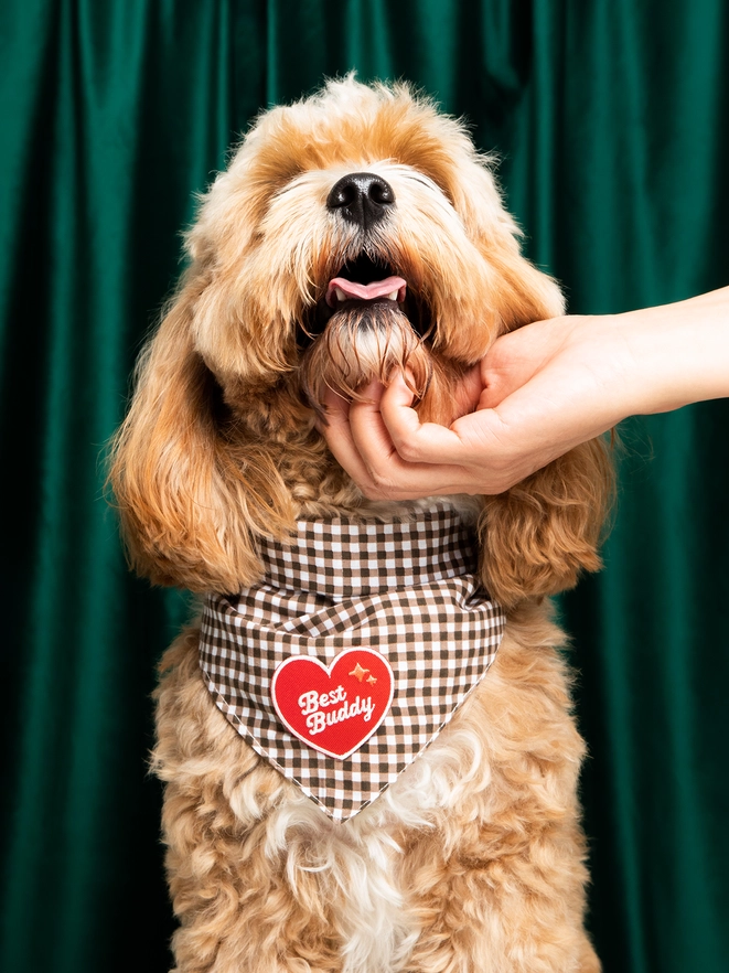 Badge thermocollant pour chien "Best buddy"-Patch et badges-Scoot's Honor-Muzon