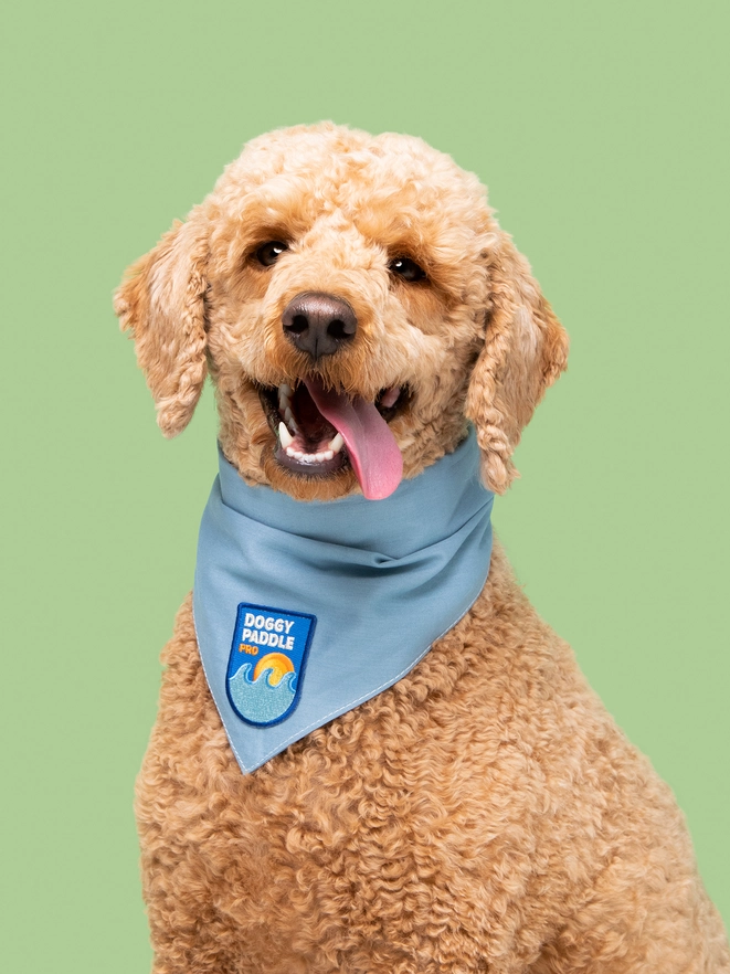Badge thermocollant pour chien "Doggy paddle pro"-Patch et badges-Scoot's Honor-Muzon
