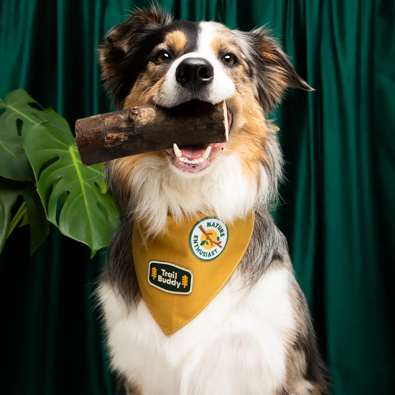 Badge thermocollant pour chien "Trail Buddy"-Patch et badges-Scoot's Honor-Muzon