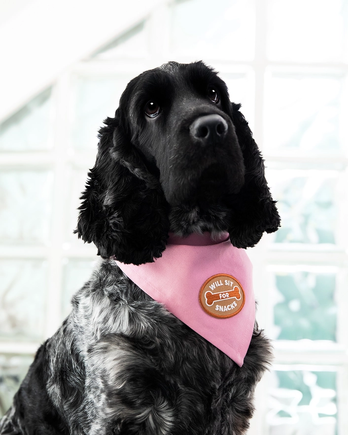 Badge thermocollant pour chien "Will seat for snacks"-Patch et badges-Scoot's Honor-Muzon