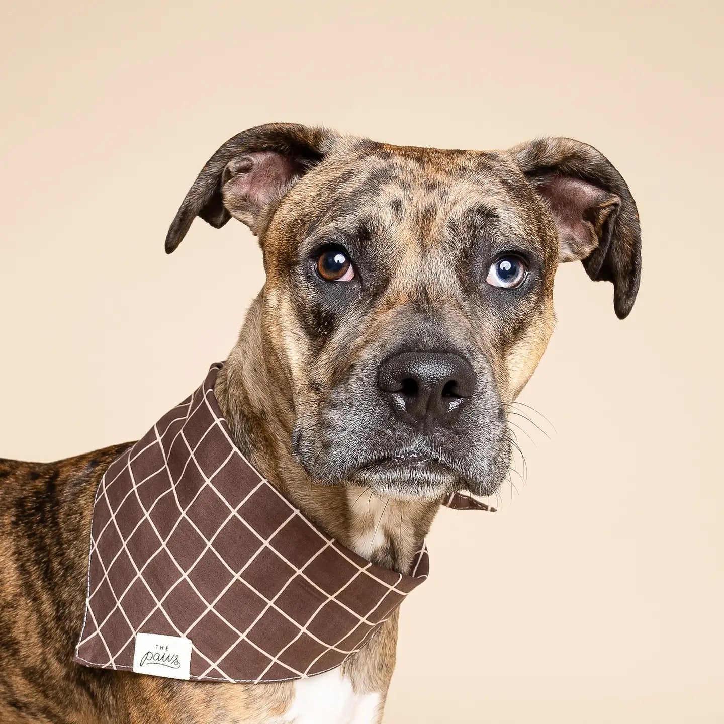 bandana-a-carreaux-marron-3.webp