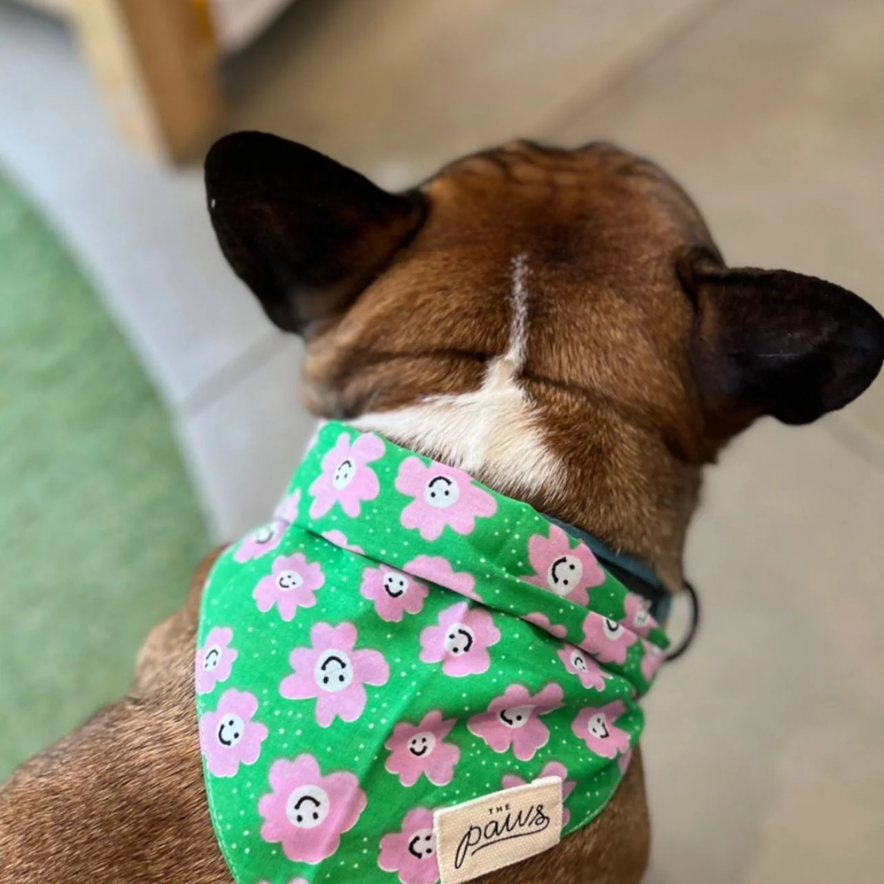 Bandana Collier chien - Motifs Fleurs roses et fond vert