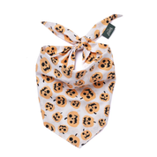 Bandana pour chien - Citrouille