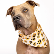 Bandana pour chien - Citrouille