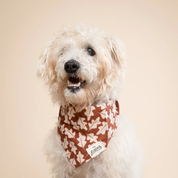 Bandana pour chien - Feuilles d'automne
