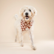Bandana pour chien - Feuilles d'automne