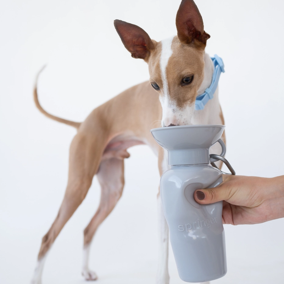 Bouteille de voyage - Gris-Gourdes et gamelles de voyage-Springer-Muzon