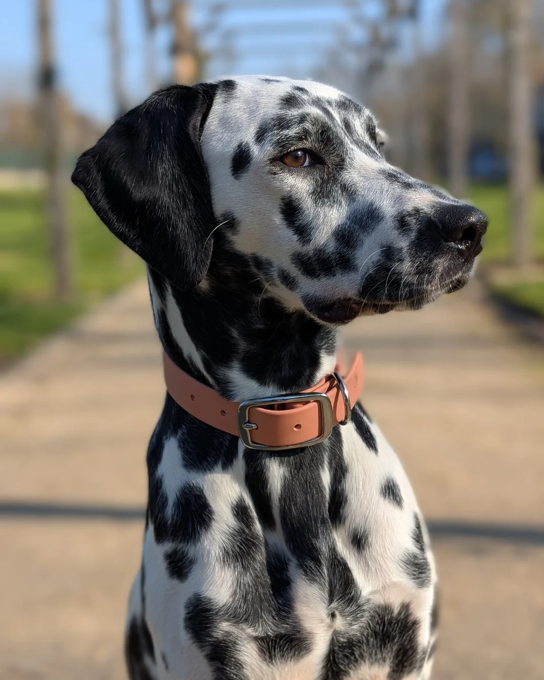 Collier waterproof - Terracotta