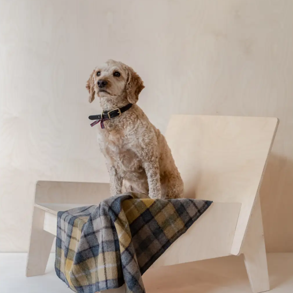 Couverture pour chien en laine recyclée - Buchanan Natural Tartan | Muzon