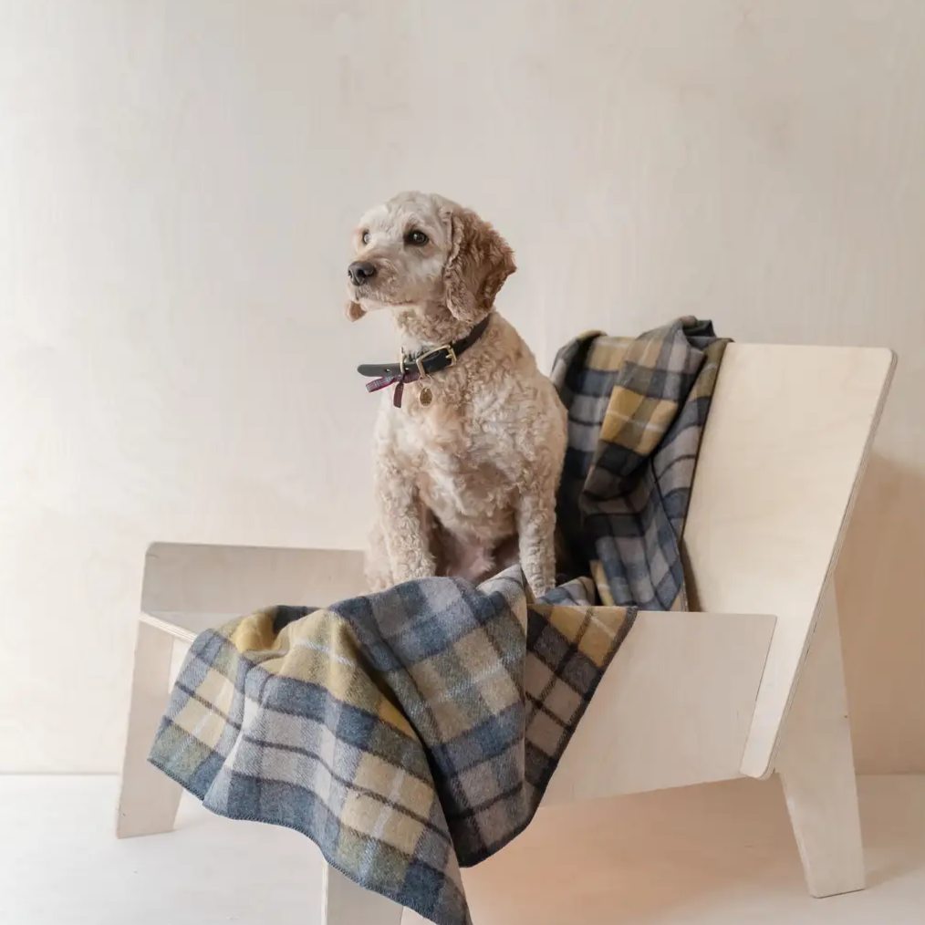 Couverture en laine recyclée - Buchanan Natural Tartan-Couverture-TBCo-Muzon
