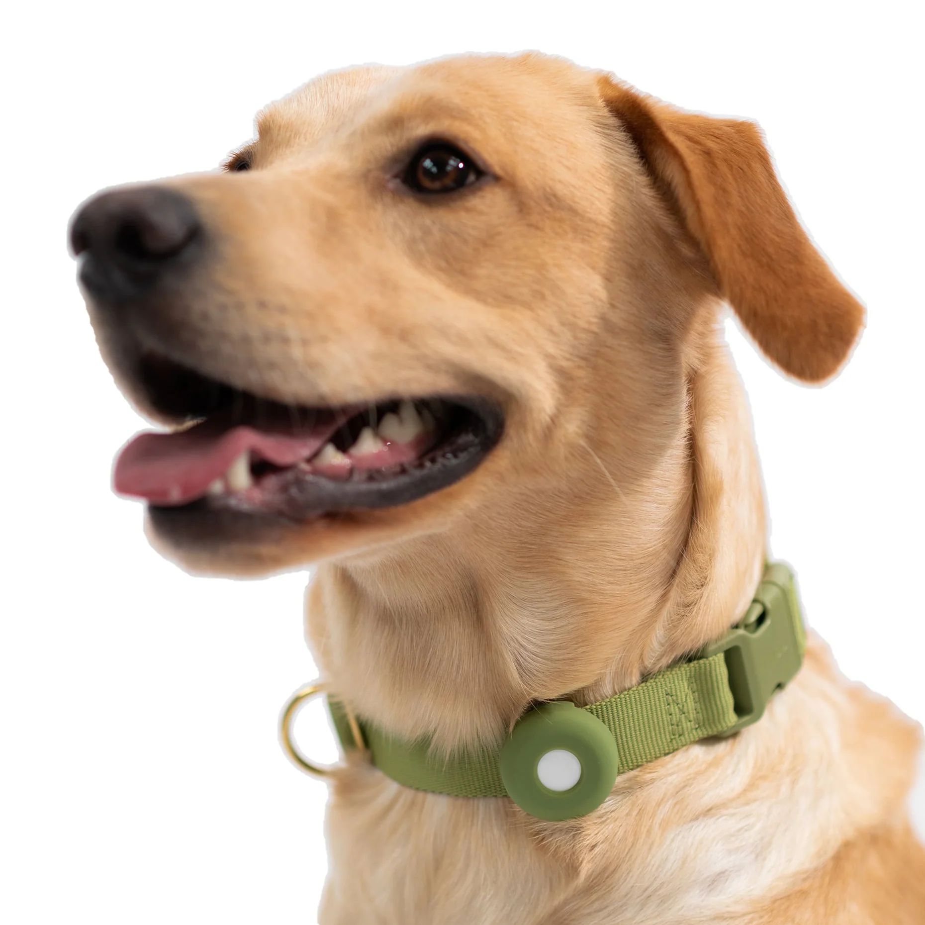 Etui Airtag pour chien en silicone - Peach-Accessoires-Awoo-Muzon