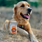 Lapin - Friandises naturelles pour chien