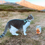 Lapin - Friandises naturelles pour chien