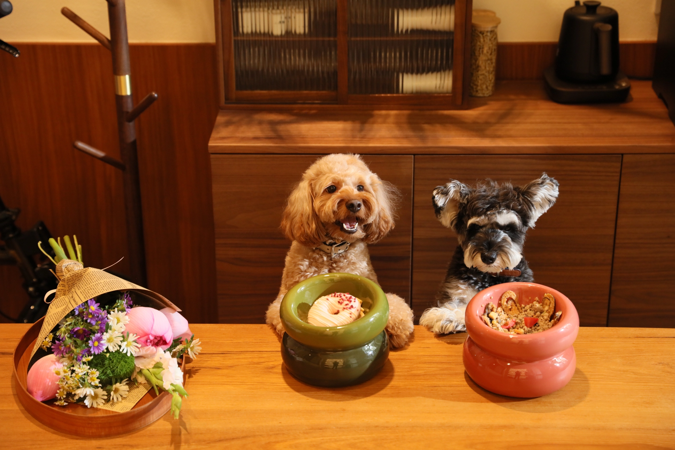 gamelle-pour-chien-confortable-pehom-3.png