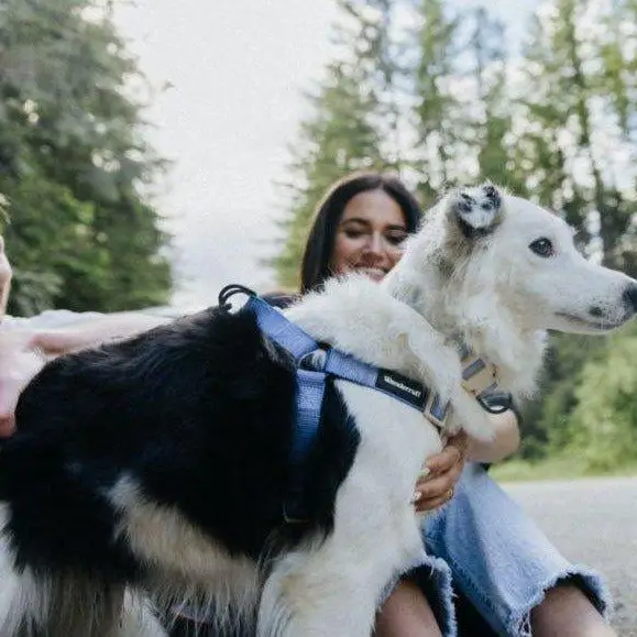 Harnais - Kona-Harnais-Wanderruff-Muzon