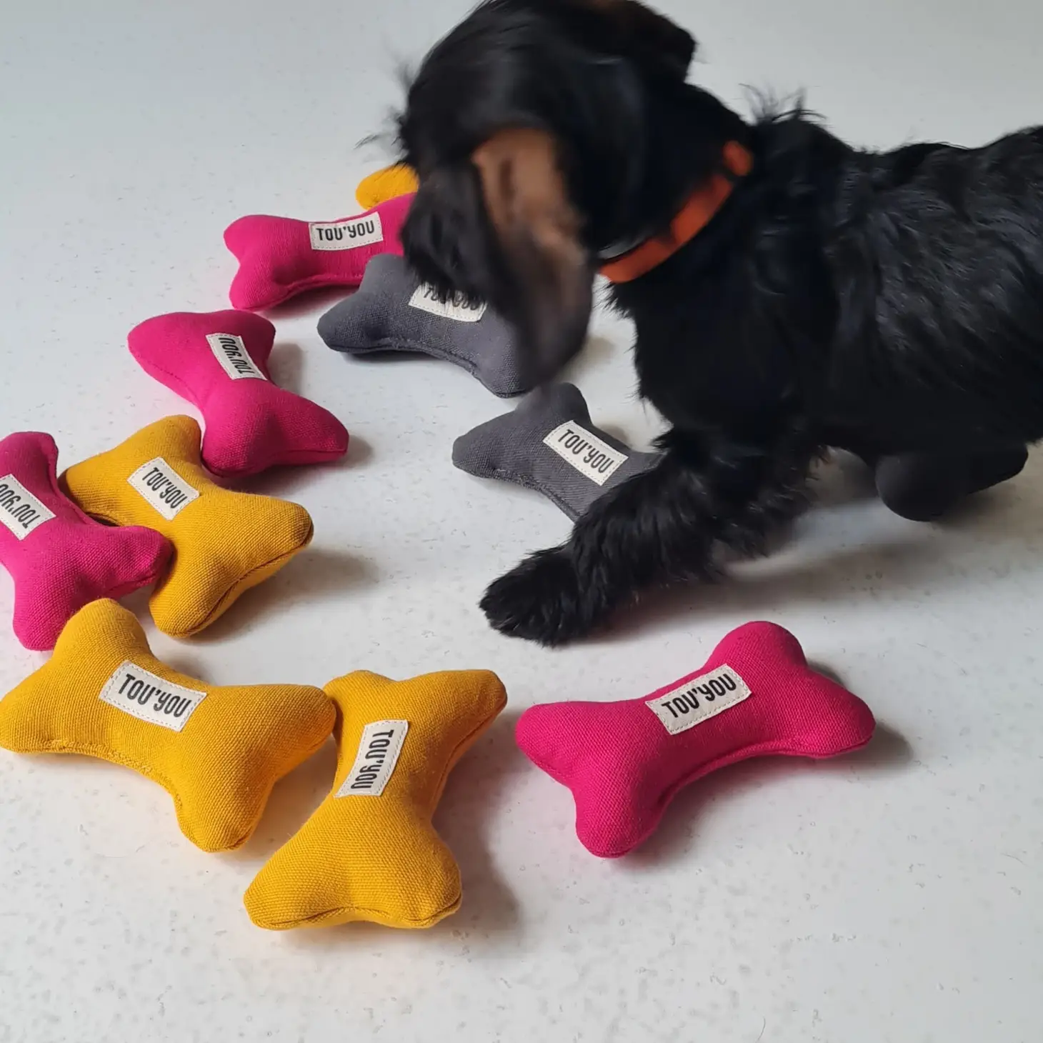 groupe de Nonos pour chiens