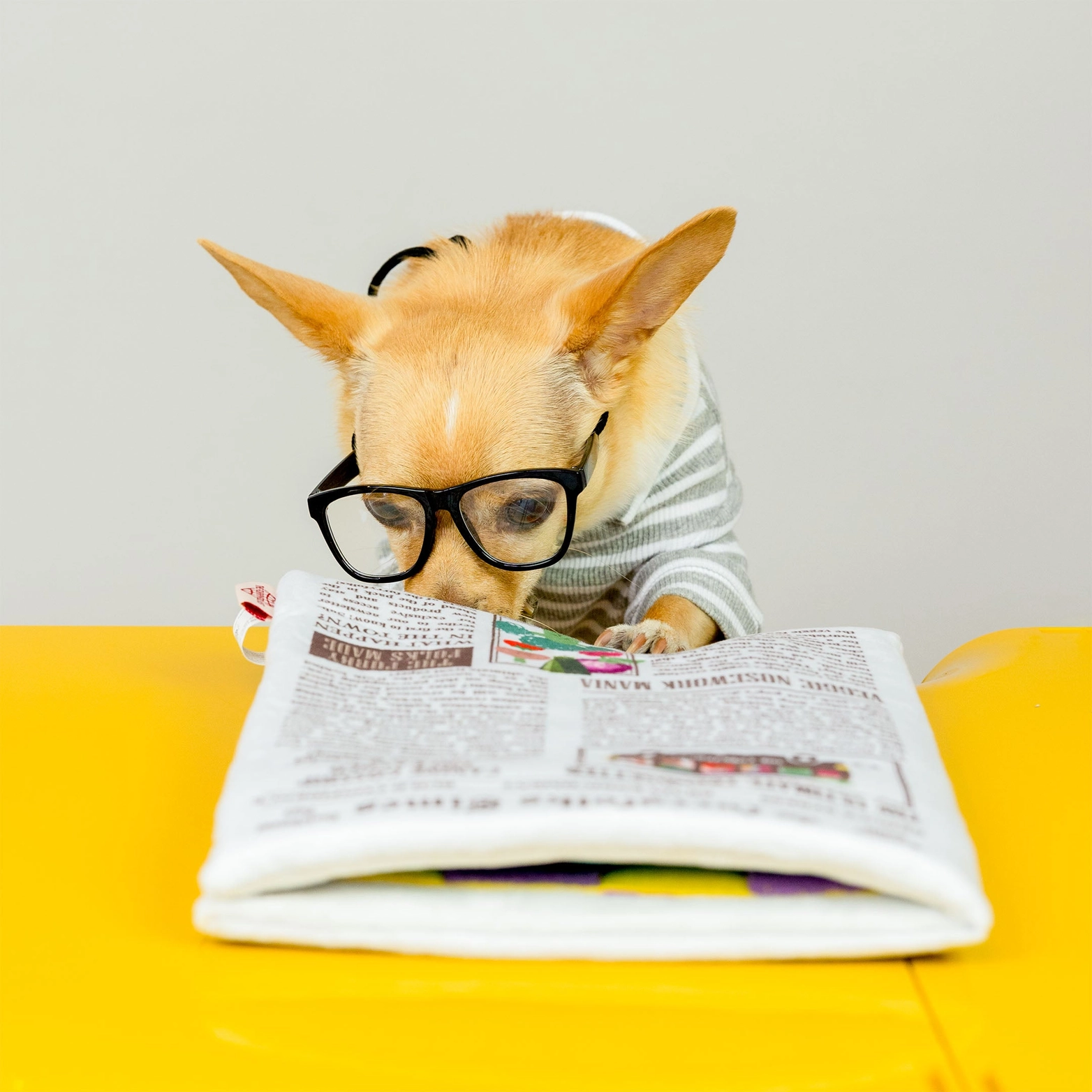 Tapis de fouille - Le journal