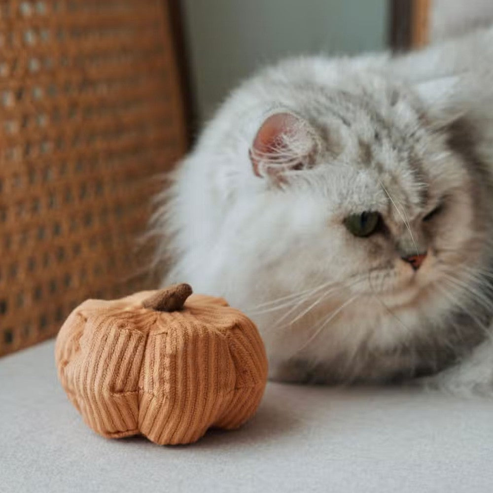 Jouet pour chat - La citrouille