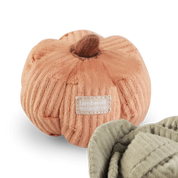 Jouet pour chat - La citrouille