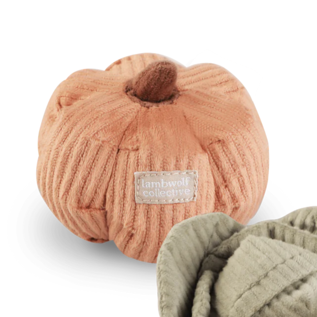 Jouet pour chat - La citrouille