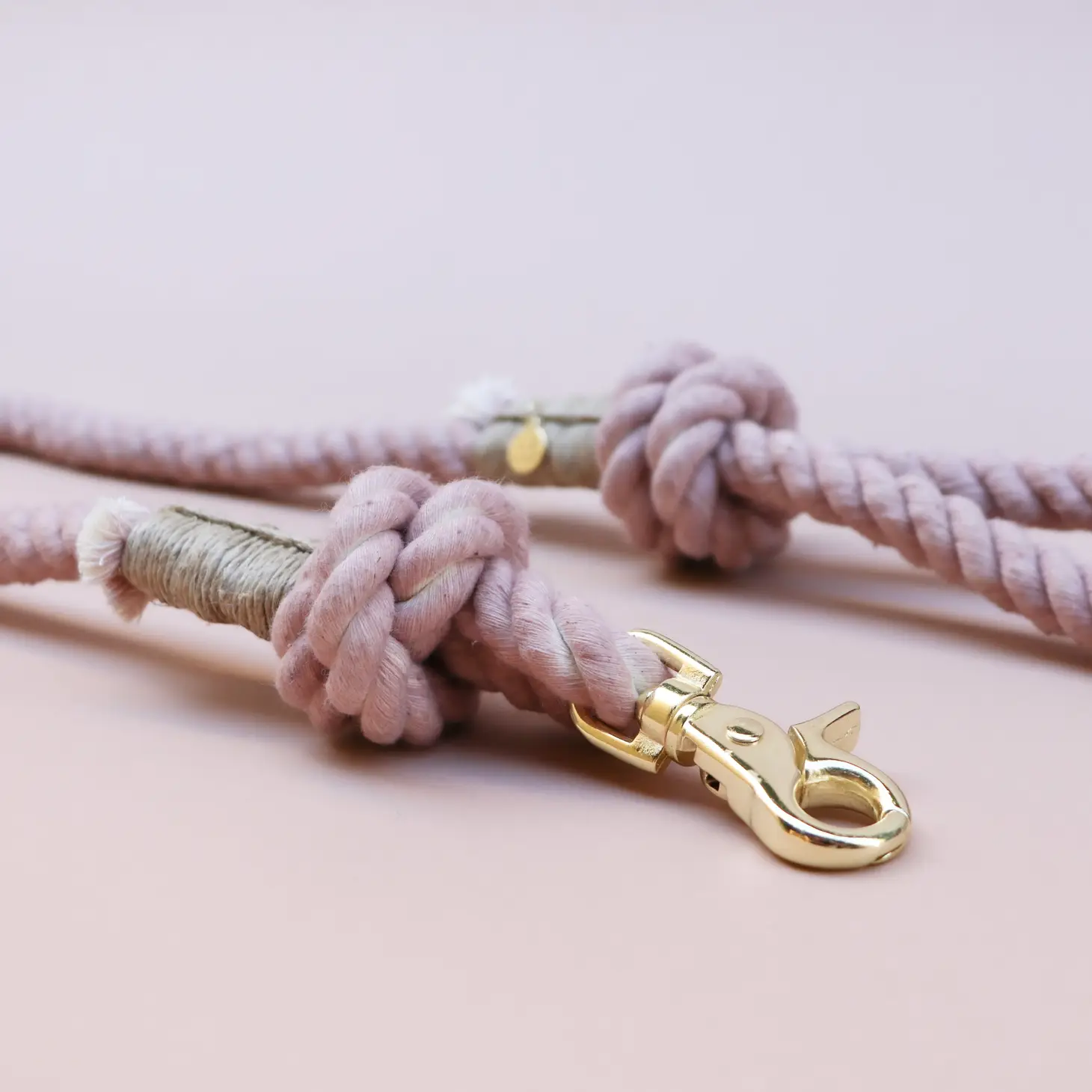 Laisse en corde pour chien Rose
