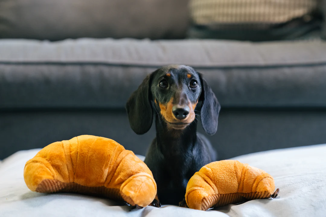 peluche-croissant-4.png