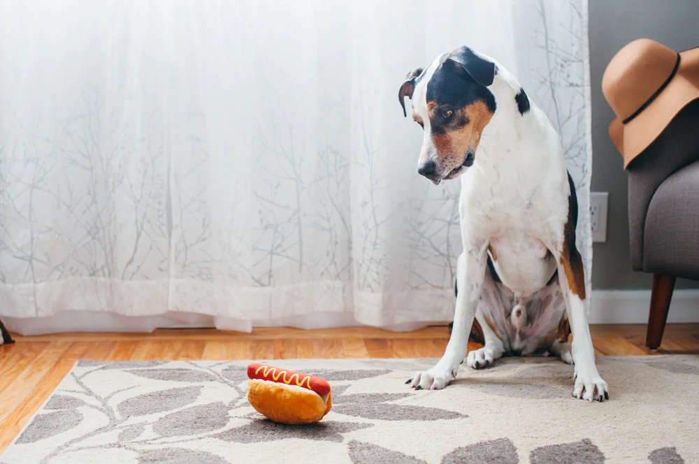 peluche-hot-dog-4.png