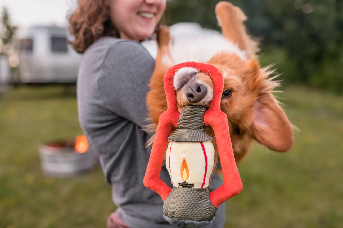 peluche-lampe-chien-pet-play-2.png