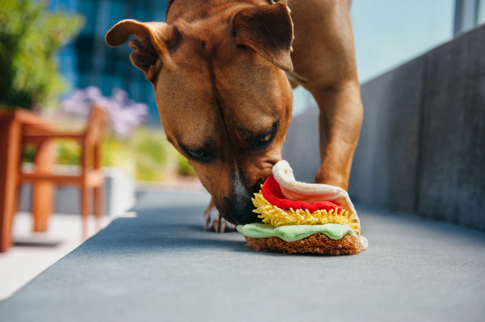 peluche-tacos-chien-pet-play-2.png