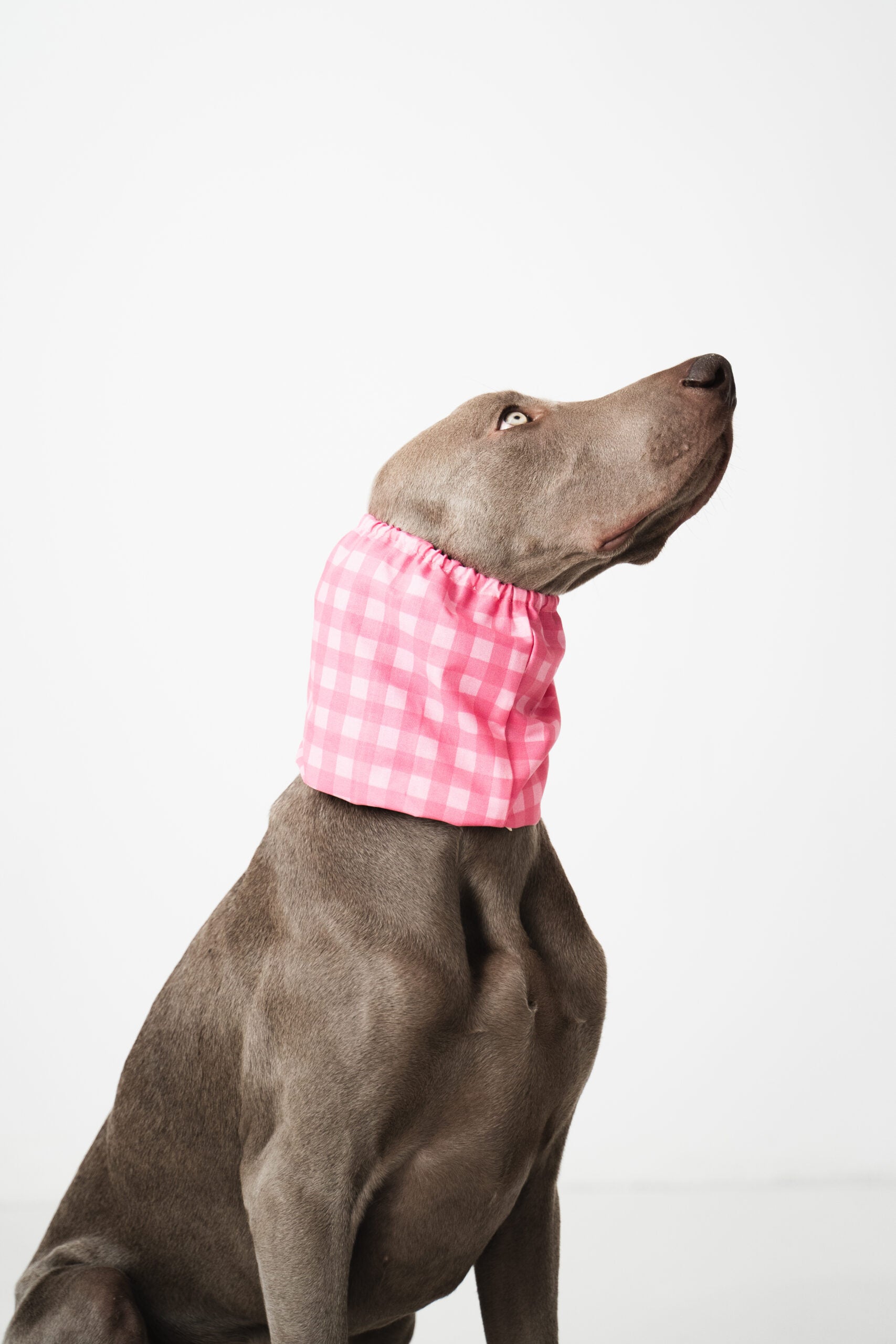 snood-carreaux-rose-2.jpg