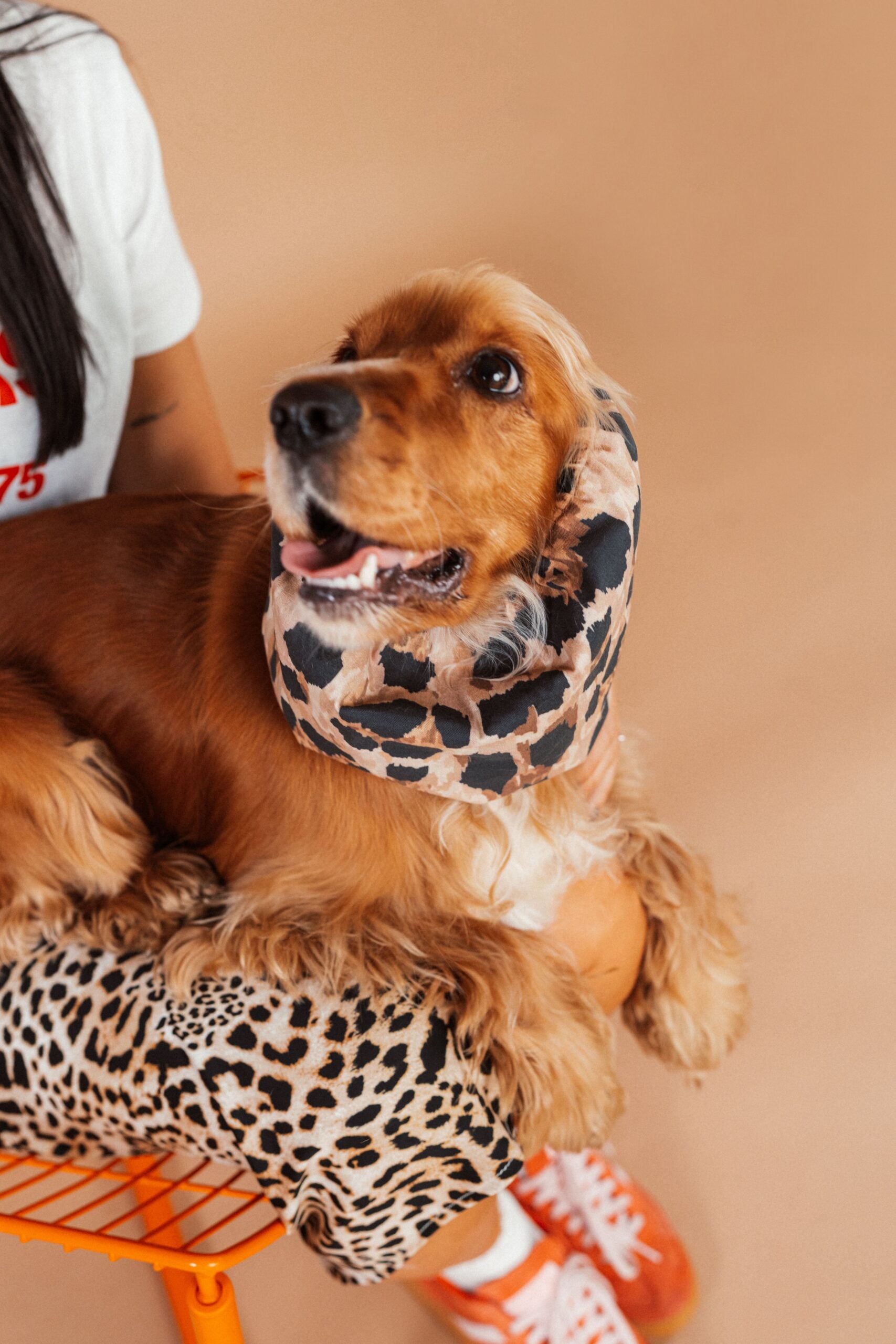 snood-leopard-2.jpg
