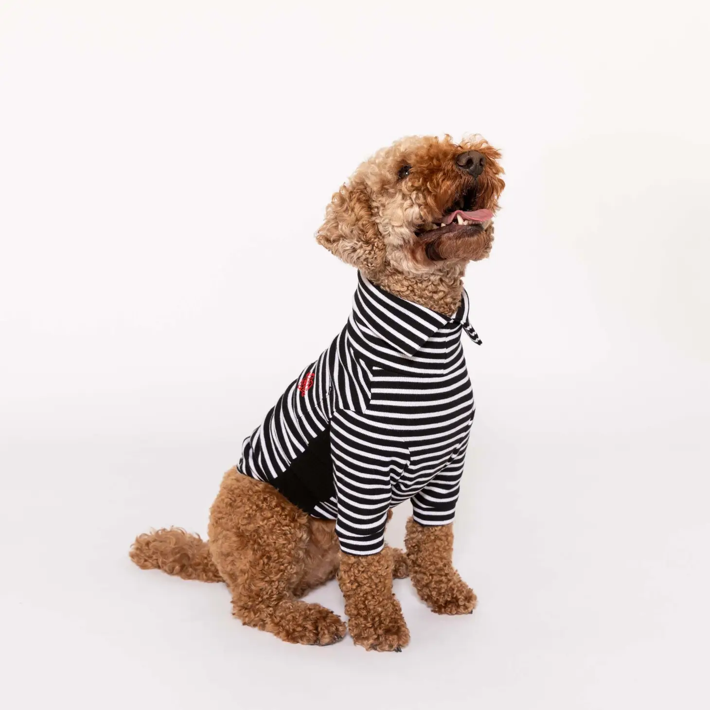 Vêtement pour chien : T-shirt rayé noir et blanc | Muzon