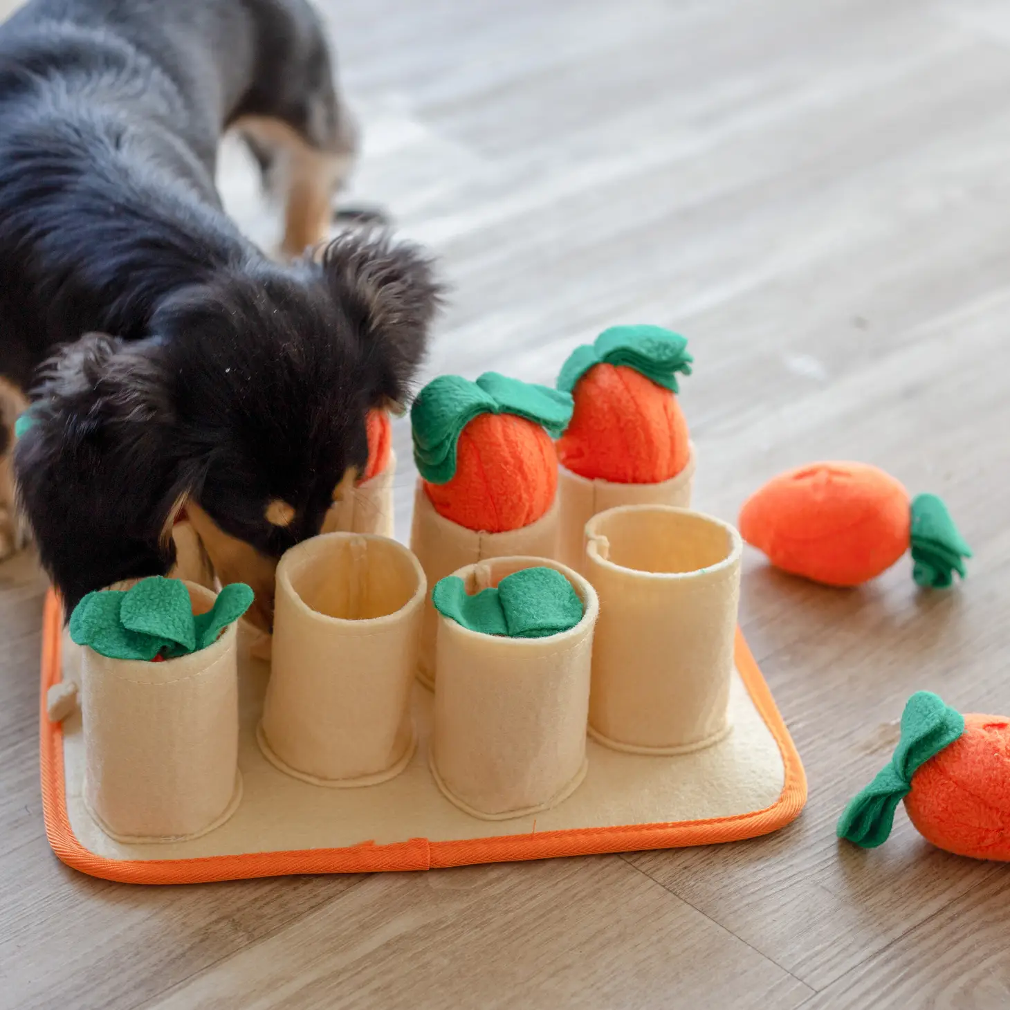 Carotte pour chien - Tapis d'occupation pour divertissement canin | Marque Muzon