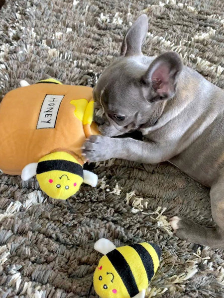 zippy-paws-peluche-pour-chien-honey-pot.jpg