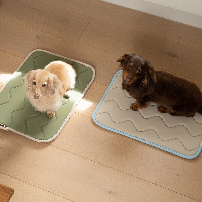 Tapis rafraîchissants pour chien