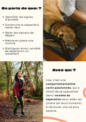 Atelier #11 : La gestion de la solitude chez le chien - 13.10.2025